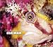 Books : Ocean Wildlife (The Restless Sea)