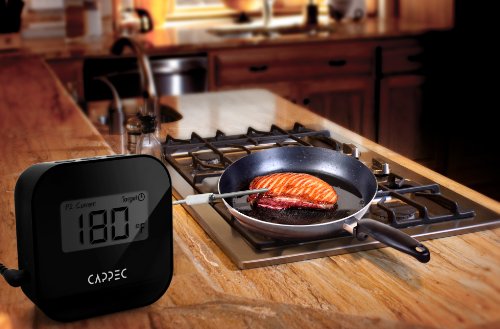 Pyrex Professional Meat Thermometer Manual