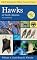 Field Guide to Hawks of North America