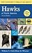Books : Field Guide to Hawks of North America