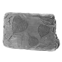 Fossil Steppingstone