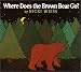 Where Does the Brown Bear Go?