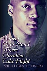 AngelsOnlyStandWhereCherubimTakeFlight
