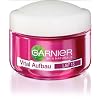 Garnier Vital Aufbau Tagespflege LSF 15