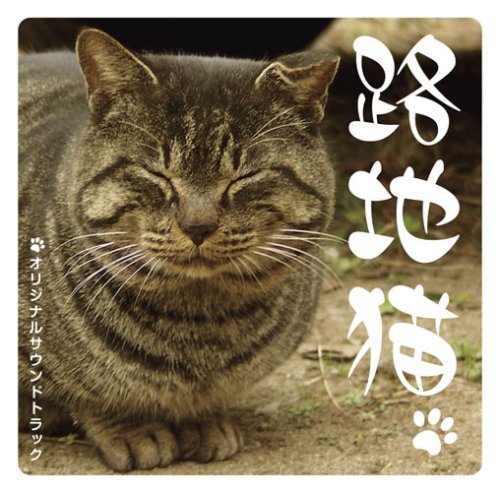 「路地猫」オリジナルサウンドトラック 尾崎博志 こおろぎさとみ ビデオ・サントラ