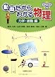 動画だからわかる物理 力学・波動編