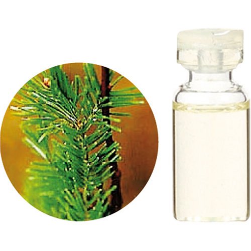 生活の木 C シベリア モミ エッセンシャルオイル 10ml