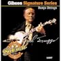 Gibson Earl Scruggs Signature Banjo Strings, Light