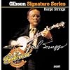 Gibson Earl Scruggs Signature Banjo Strings, Light