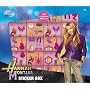 Hannah Montana Boxed Set 200 Reusable Stickers