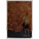 Threads of Silk & Gold Peacock Magnet