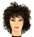 Tiny Shorts - 12" Short Darkest Brown tipped with Dark Auburn tiny spiral curls synthetic wig