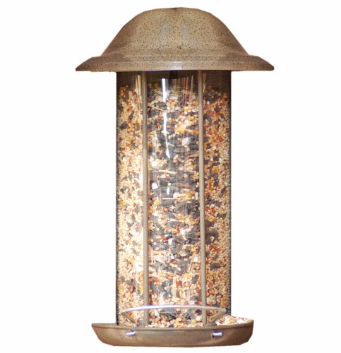 Exhart Wall Mount Feeder with Perch