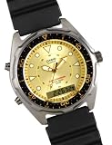 Casio Marine Gear Analog Diver Watch - Black/ Silvertone/ Goldtone