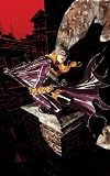 Batgirl Vol. 3: The Lesson
