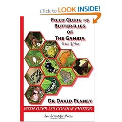 Field Guide to Butterflies of the Gambia, West Africa
