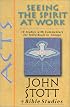 Acts: Seeing the Spirit at Work (John Stott Bible Studies)