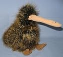 Beak the Kiwi Bird, TY Products