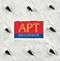Art Constitution: The Illustrated Constitution of the Russian Federation (English and Russian Edition)
