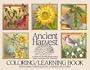 Ancient Harvest: A Selection of Favorite Plants Used by Native Americans of the Southwest
