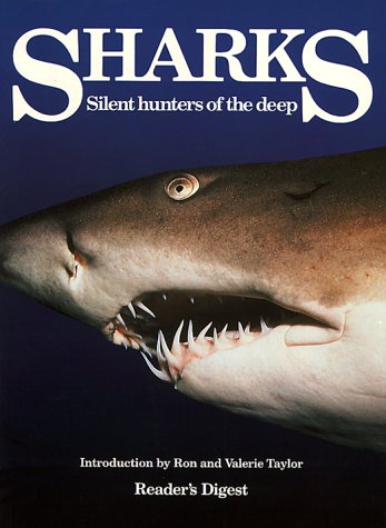 Shark
