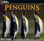 Penguins National Geographic 2007 Calendar