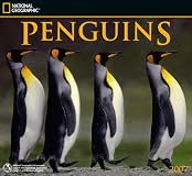 Penguins National Geographic 2007 Calendar