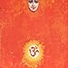 Divination, Sacrifice by Meta Records &#x3010;&#x4E26;&#x884C;&#x8F38;&#x5165;&#x54C1;&#x3011;, 発売中