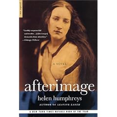 Afterimage: A Novel