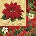 Search : Holiday Botanical Feliz Navidad Lunch Napkins, 16ct