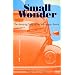 Small Wonder: The Amazing Story of the Volkswagen Beetle