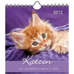 Katzen 2012