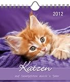 Katzen 2012