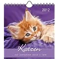 Katzen 2012