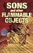Sons and Other Flammable Objects: A Novel