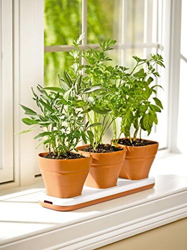 Convertible Herb Pot Set