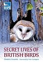 Secret Lives of British Birds (Rspb)