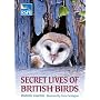 Secret Lives of British Birds (Rspb)