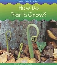 How Do Plants Grow? (World of Plants)