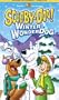 Scooby-Doo - Winter Wonderdog [VHS]