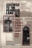 Gateway to the Promised Land: Ethnicity and Culture in New York's Lower East Side