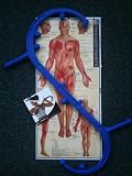 Body Back Buddy Complete set with Laminated Trigger Point poster