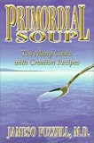 Primordial Soup: Too Many Cooks with Creation Recipes