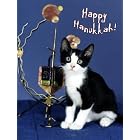 Pet Star Hanukkah Cards - Cat with Dreidel by  Pet Star Photography
