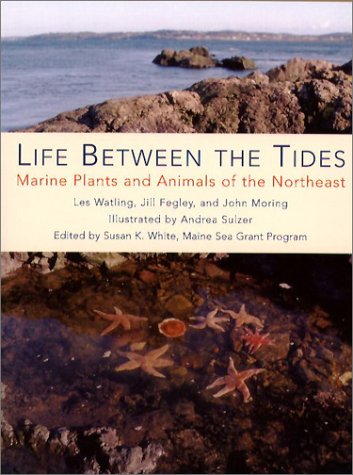 Life Between the Tides: Marine Plants and Animals of the Northeast under Natural History in The Books Store
