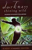 Darkness Shining Wild: An Odyssey to the Heart of Hell & Beyond: Meditations on Sanity, Suffering, Spirituality, and Liberation