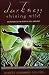 Darkness Shining Wild: An Odyssey to the Heart of Hell & Beyond: Meditations on Sanity, Suffering, Spirituality, and Liberation