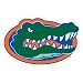 Florida Gators Car Magnet