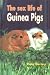 Book The Sex Life of Guinea Pigs