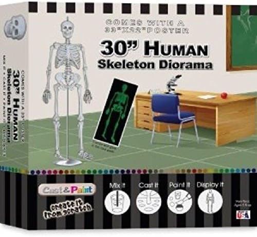 Skullduggery Human Skeleton Diorama Casting Kit